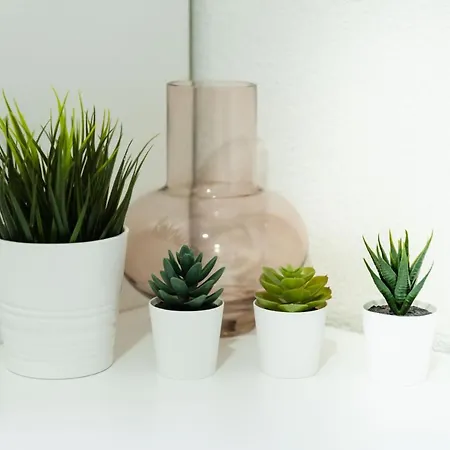 Centar Lux New شقة زرنيانين