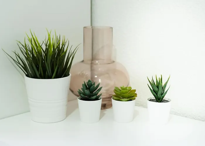 Centar Lux New Διαμέρισμα Ζρένιανιν