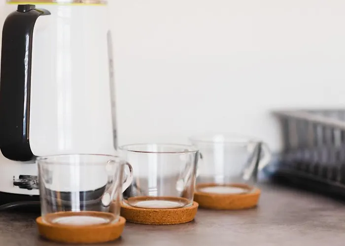 Διαμέρισμα Centar Lux New Ζρένιανιν